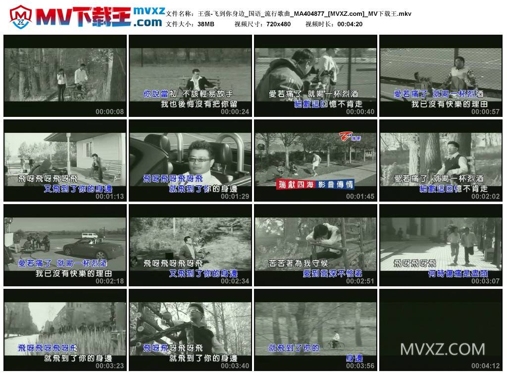 王强-飞到你身边_国语_流行歌曲_MA404877